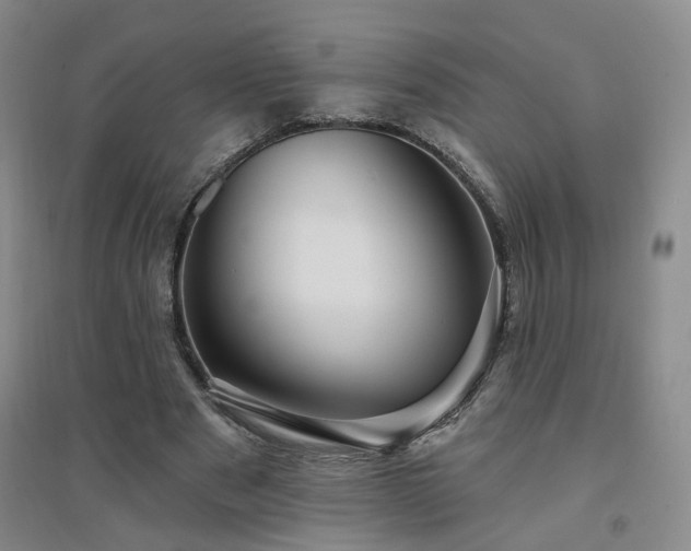X0000094420489200711151324