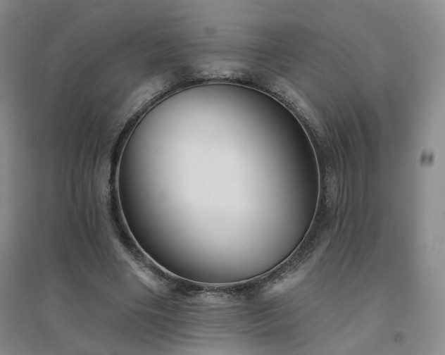 X0000094420490200711151324