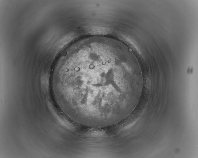 X0000094420491200711151324