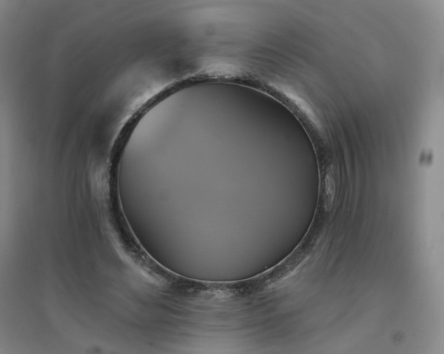 X0000094420492200711151324