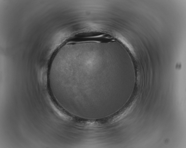 X0000094420493200711151324
