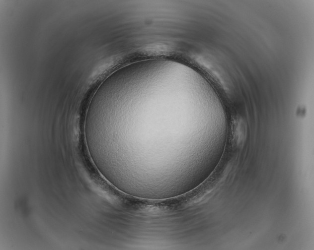 X0000094420494200711151324