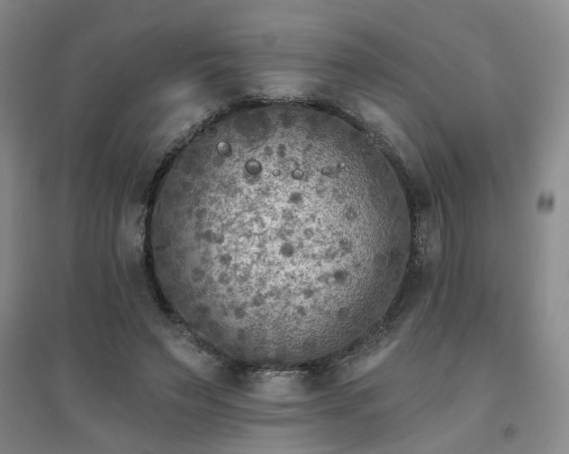 X0000094420495200711151324