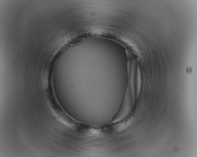 X0000094420496200711151324