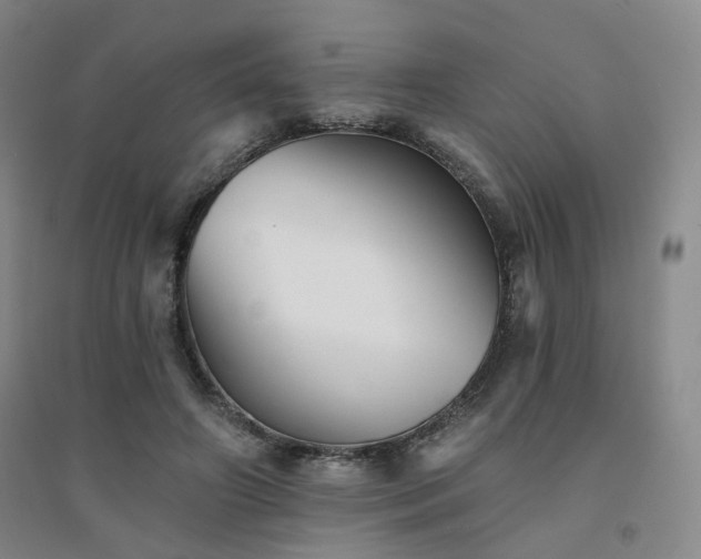 X0000094420498200711151324