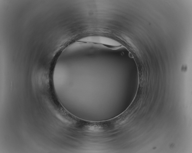 X0000094420500200711151323