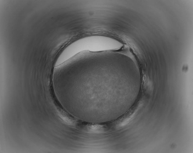 X0000094420501200711151323