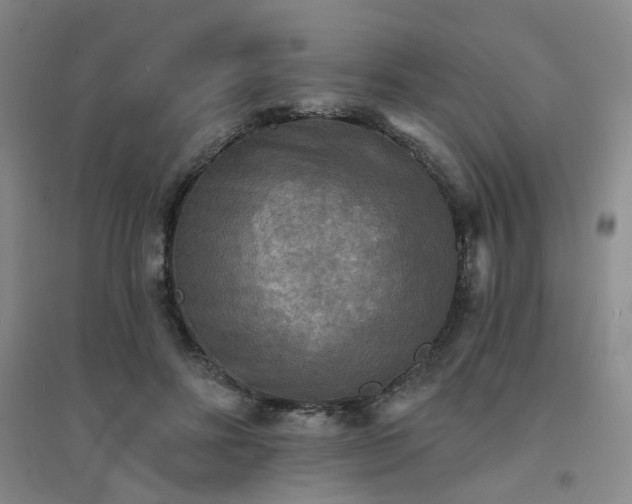 X0000094420502200711151323