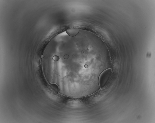X0000094420503200711151323