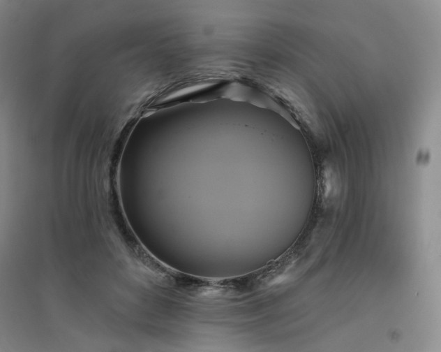 X0000094420504200711151323
