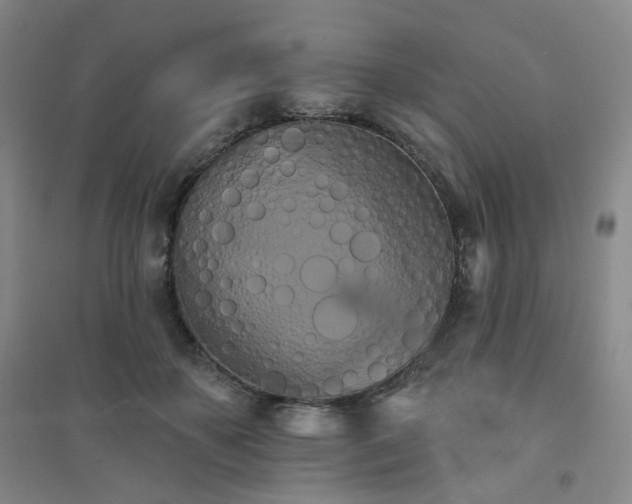 X0000094420507200711151323