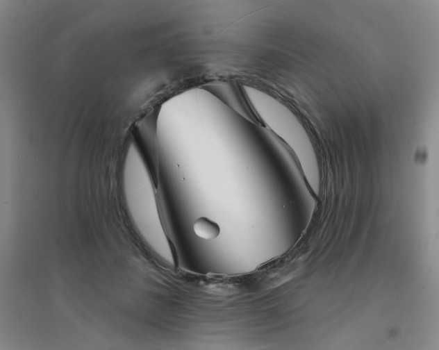 X0000094420508200711151323