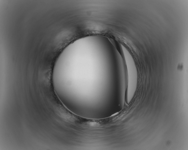 X0000094420509200711151323
