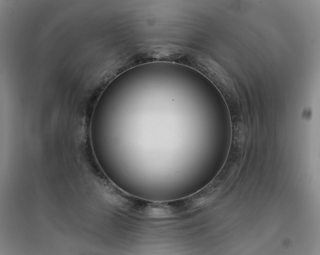 X0000094420510200711151323