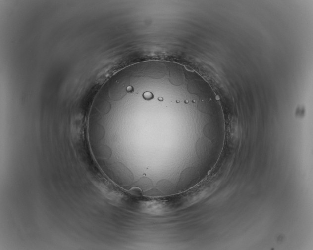 X0000094420511200711151323