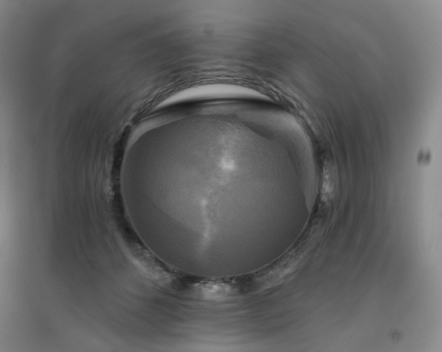 X0000094420512200711151323