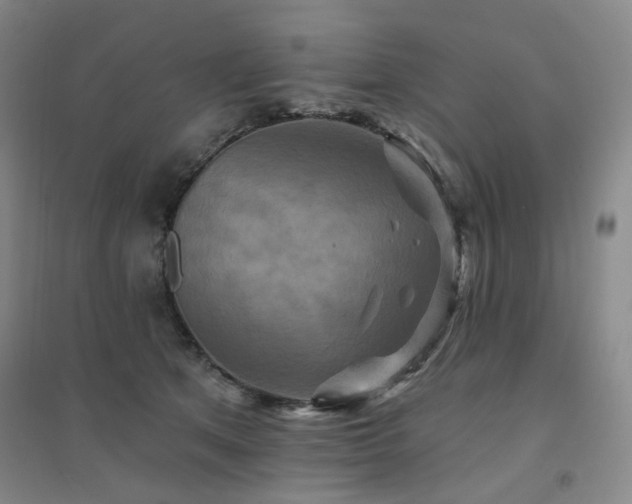 X0000094420513200711151323