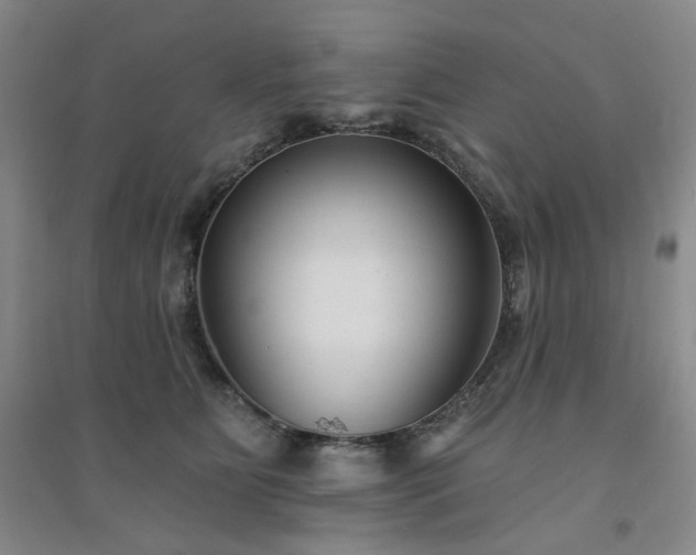 X0000094420515200711151323