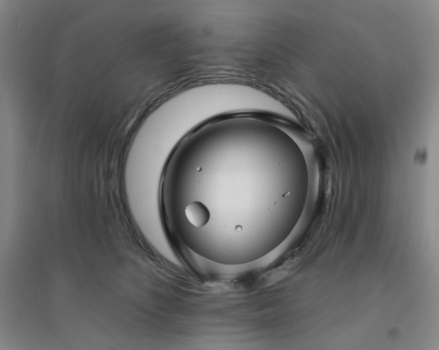X0000094420516200711151323