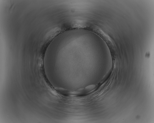 X0000094420517200711151323