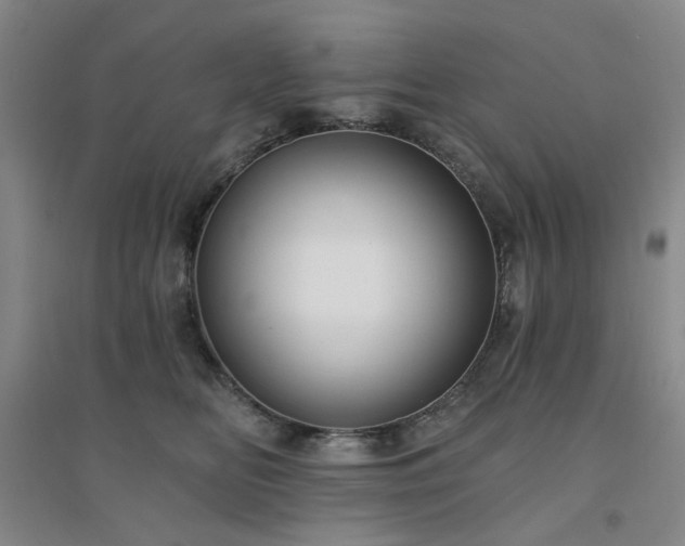 X0000094420518200711151323