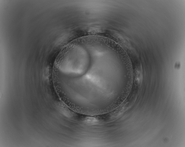X0000094420519200711151323