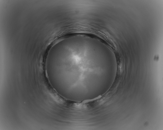 X0000094420520200711151323