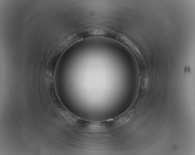 X0000094420521200711151323