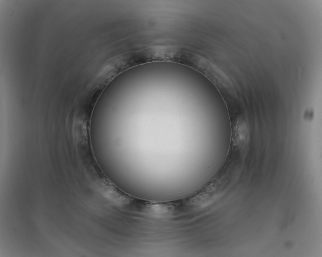 X0000094420522200711151323