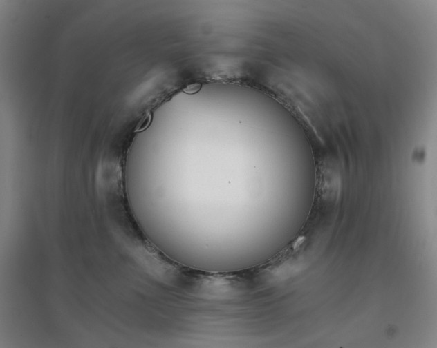 X0000094420523200711151323