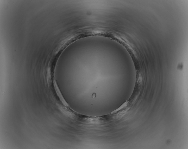 X0000094420524200711151323