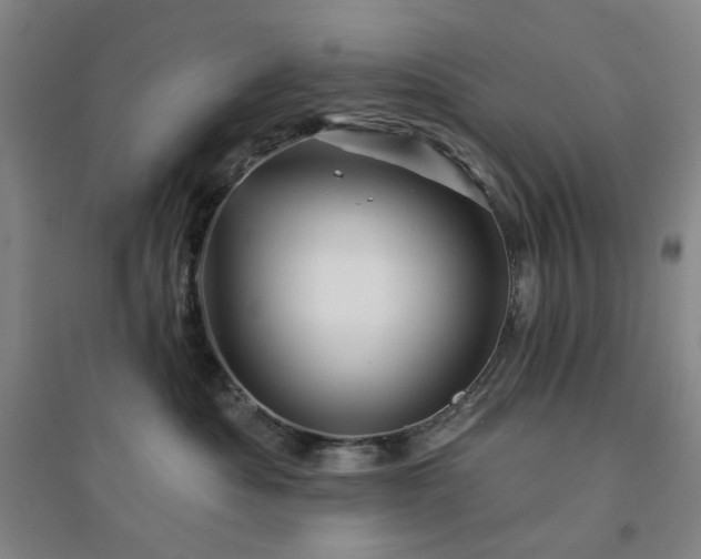 X0000094420525200711151323