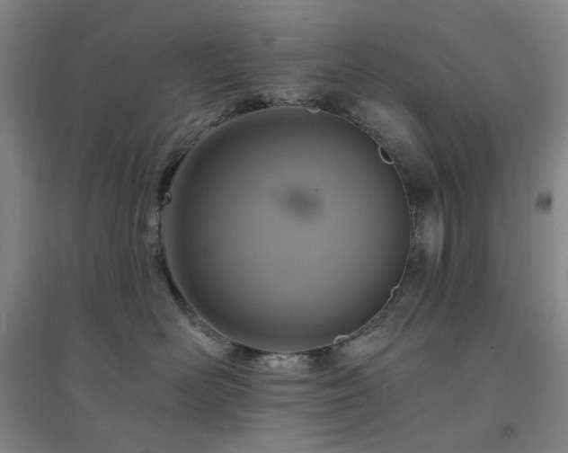 X0000094420526200711151323