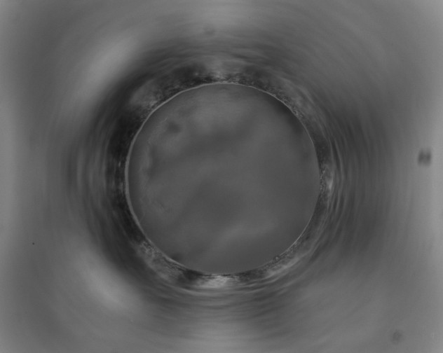 X0000094420527200711151323