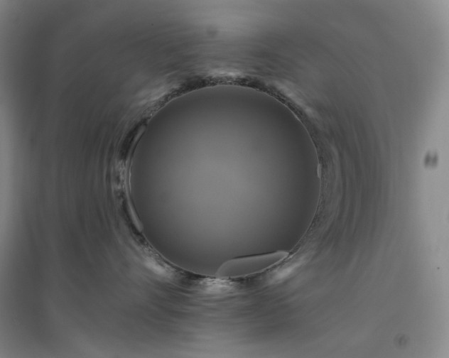 X0000094420528200711151323