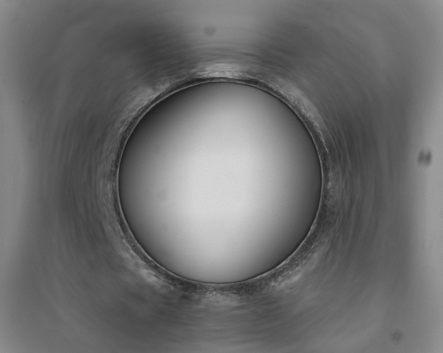 X0000094420529200711151322