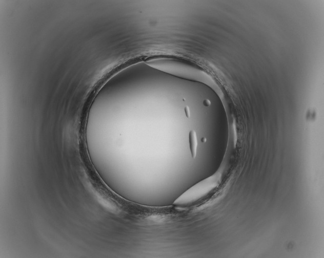 X0000094420530200711151322