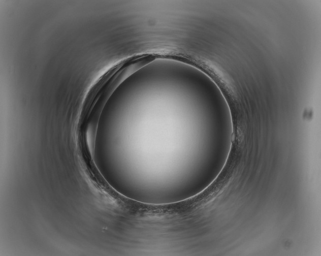 X0000094420532200711151322
