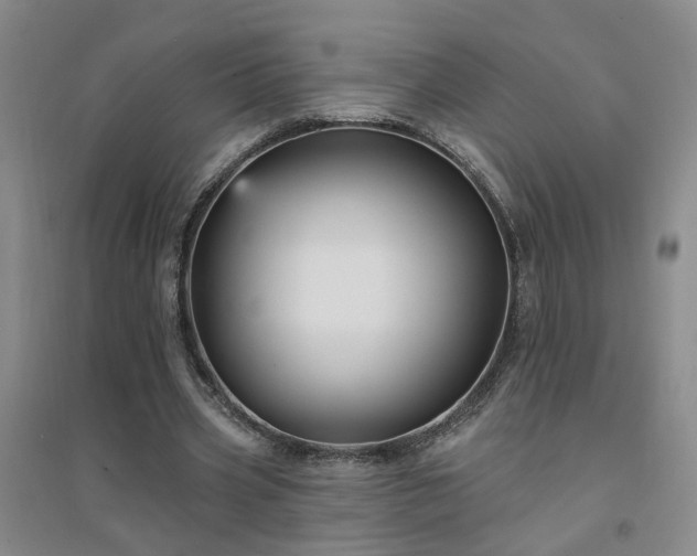 X0000094420533200711151322