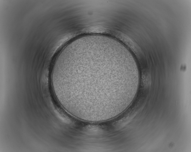 X0000094420534200711151322