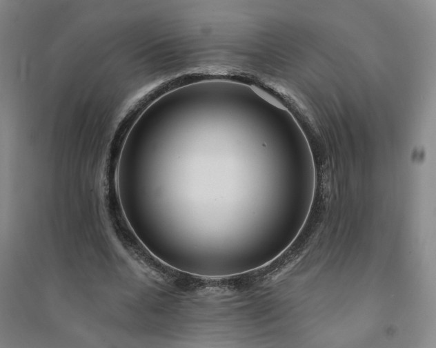 X0000094420536200711151322