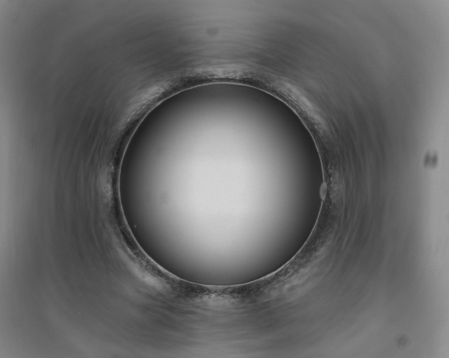 X0000094420537200711151322