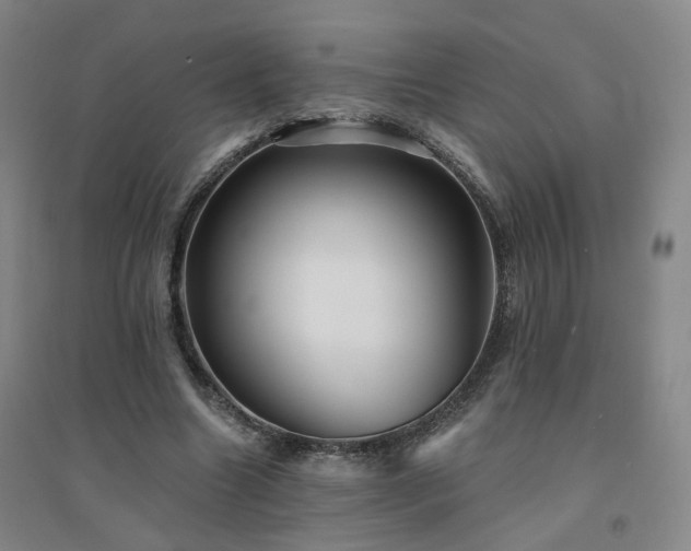 X0000094420538200711151322