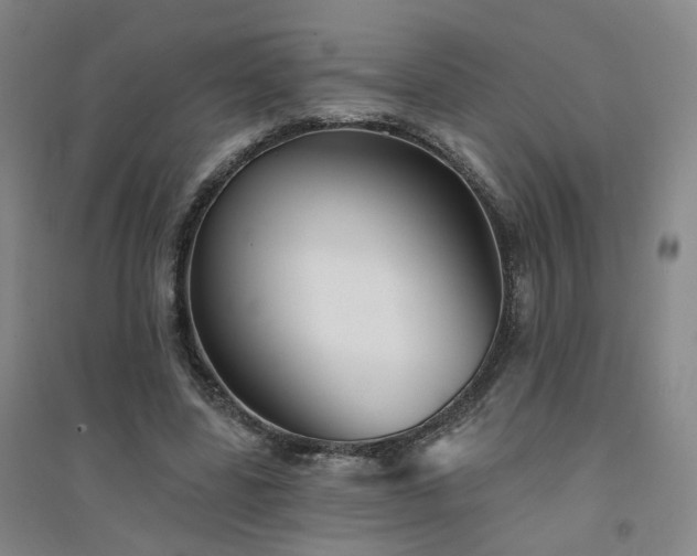 X0000094420539200711151322