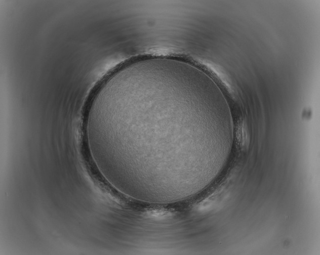 X0000094420540200711151322