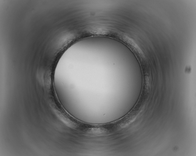 X0000094420541200711151322