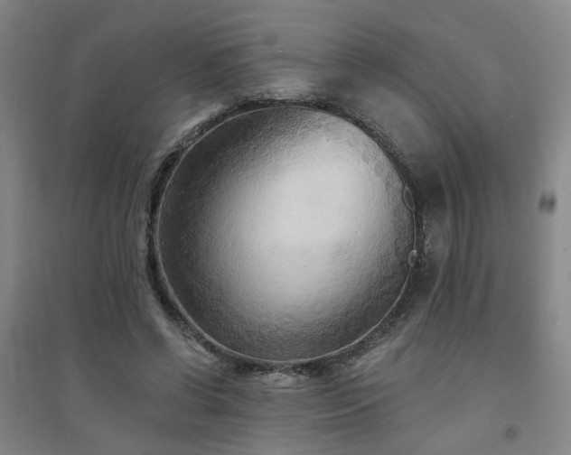 X0000094420542200711151322
