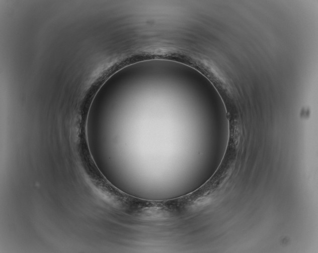 X0000094420544200711151322