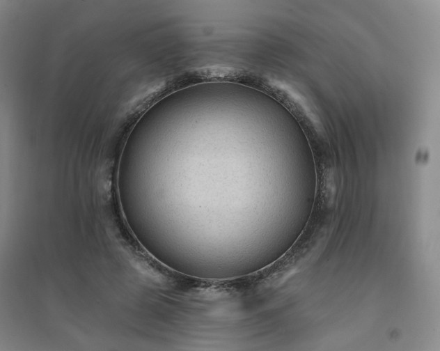 X0000094420545200711151322