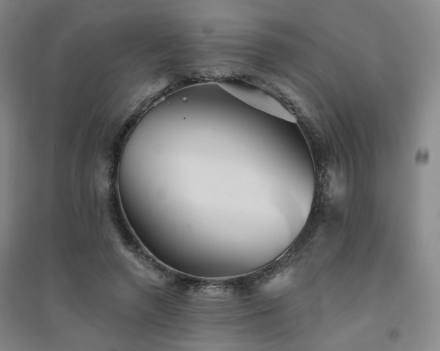 X0000094420546200711151322